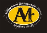 alex-meconi-reining-school-and-performance-horses
