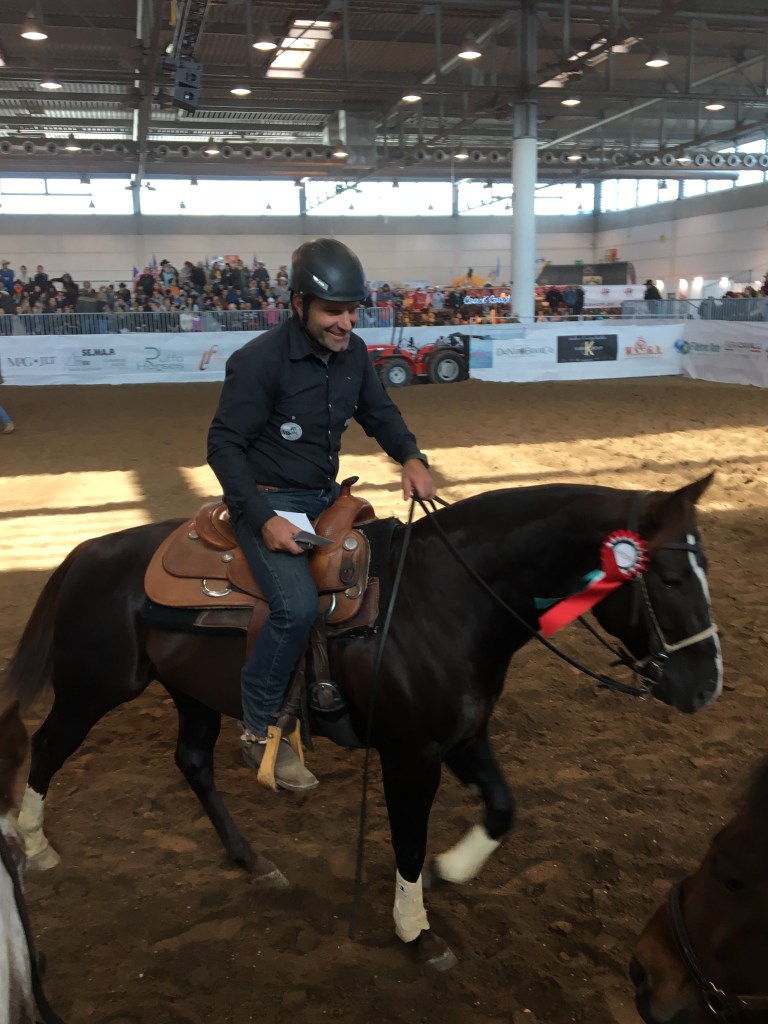 stallone-quarter-horse-peaceful-snapper-campione-italiano-gimkana-western-open