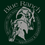 blue-ranch-allevamento-appaloosa-e-quarter-horses