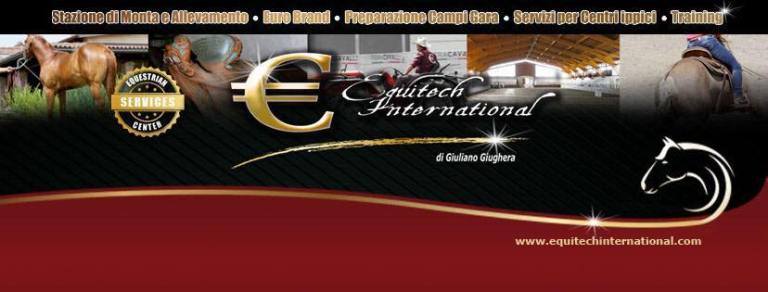 equitech-international-barrel-horses