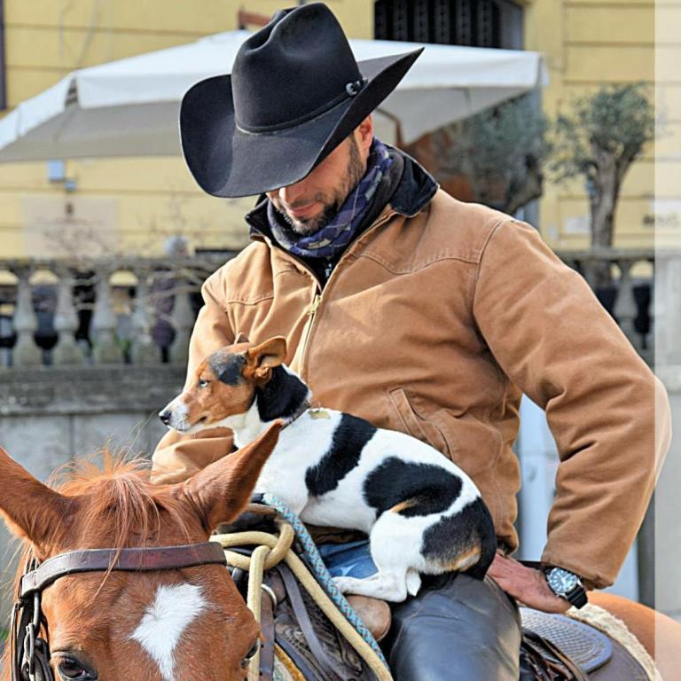 Andrea  Santini Cutting & Cow Horses.jpg
