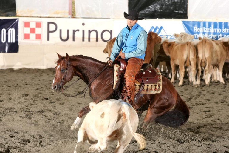 Ans Mokie Cat cutting quarter horse stallion