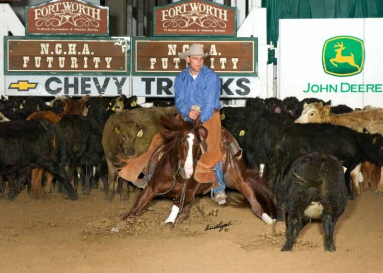 CATS_MERADA_Stallone_Quarter_Horse_Cutting