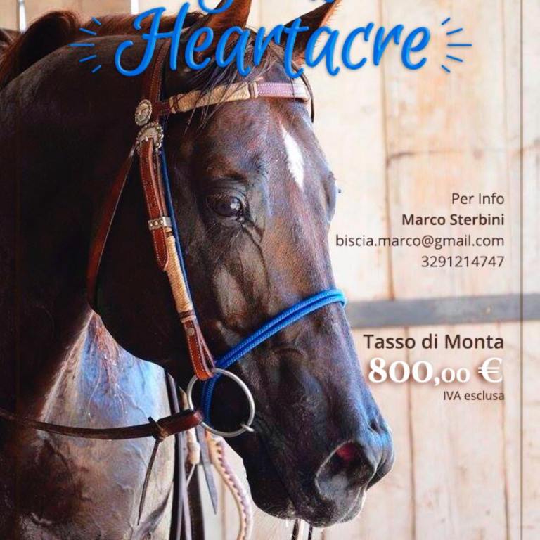 18320722_1301632626581503_6064942187327165781_o