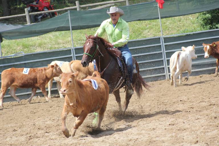 the great smart king