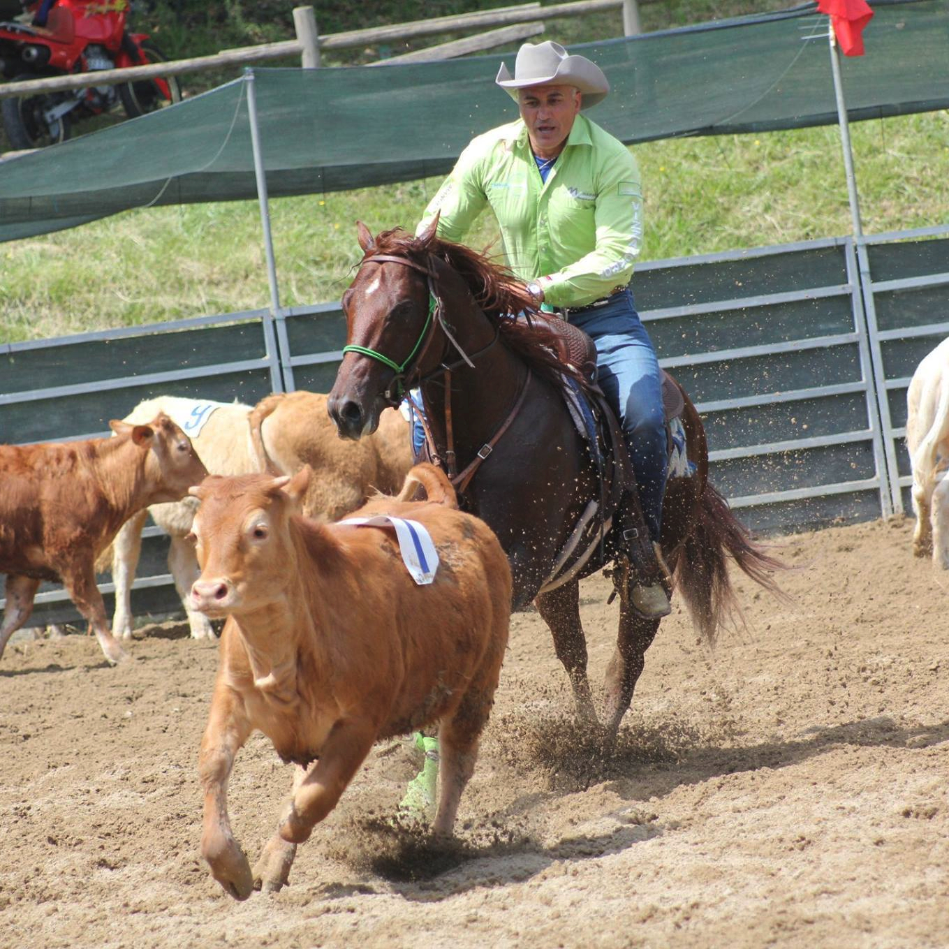 the great smart king