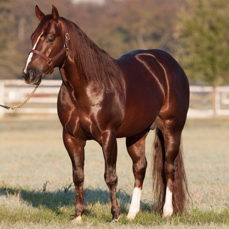 third-cutting-body-shot_web