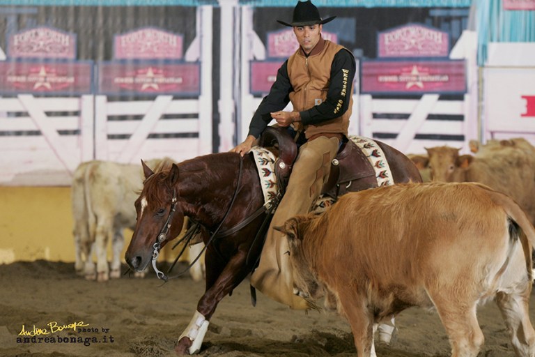 Stallone Quarter Horse ANS WYATT PEP (2002) Cutting and Working Cow Horse Champion