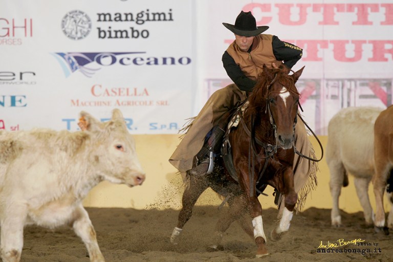 Stallone Quarter Horse ANS WYATT PEP (2002) Cutting and Working Cow Horse Champion.jpg