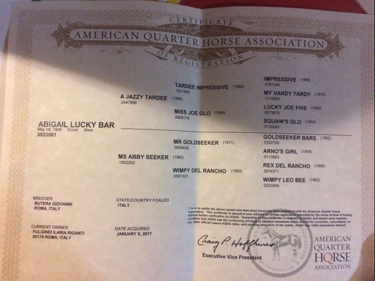 Abigail_Lucky_Bar_Doc_AQHA