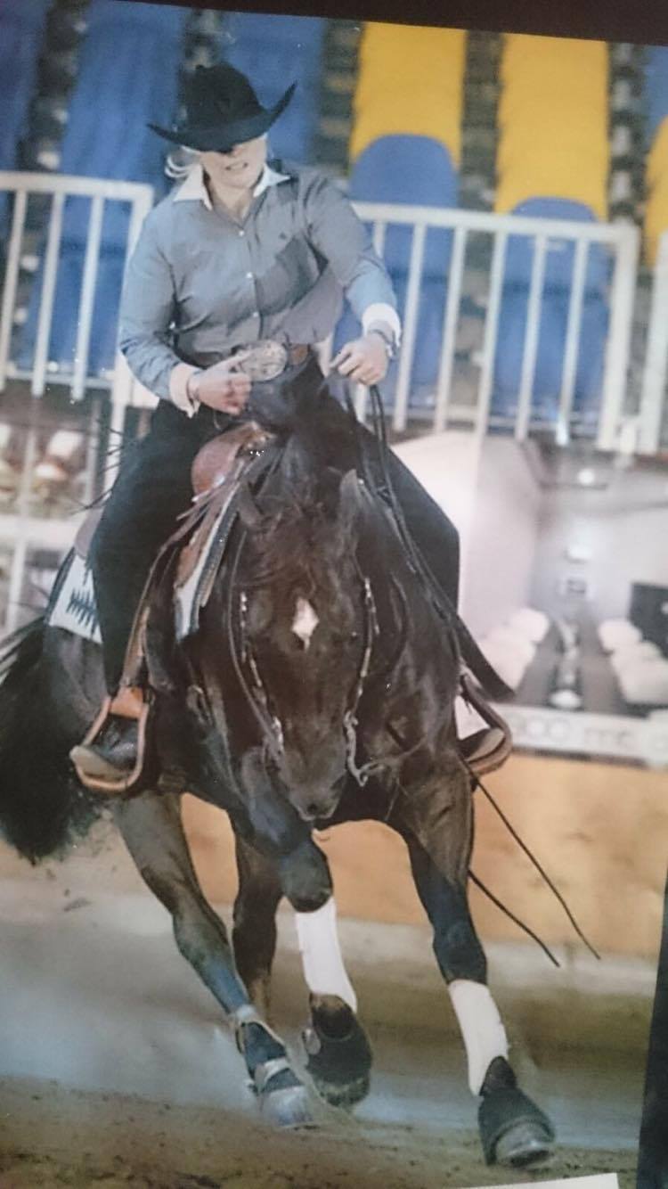 POWER SNAP reining AQHA Stallion