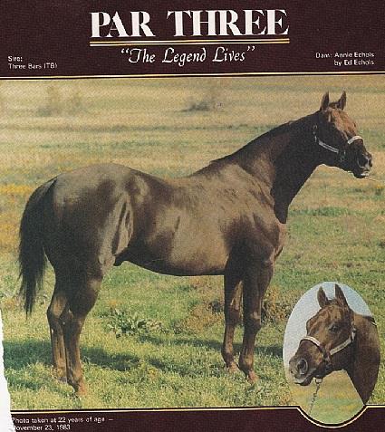 par-three-Quarter-Horse-Stallion.jpg