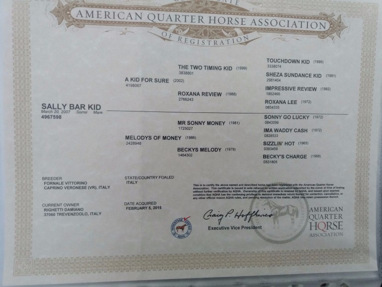 SALLY-BAR-KID-Sorrel-Mare-Quarter-Horse