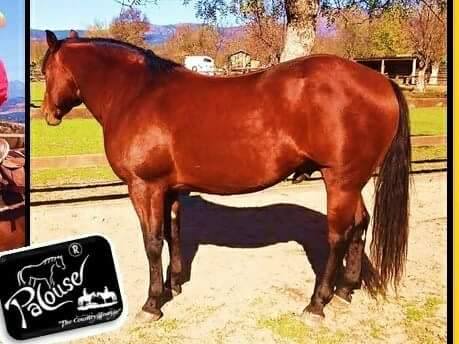 26231035_892185794321657_2135990229447780849_n