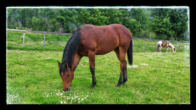 26678558_892184997655070_5560375783060338422_o