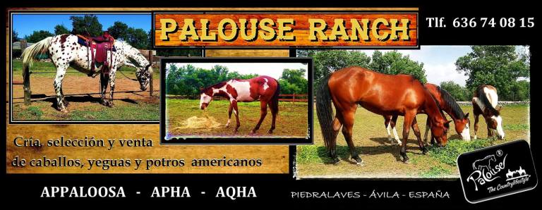 26850047_891314681075435_3357543102732310730_o