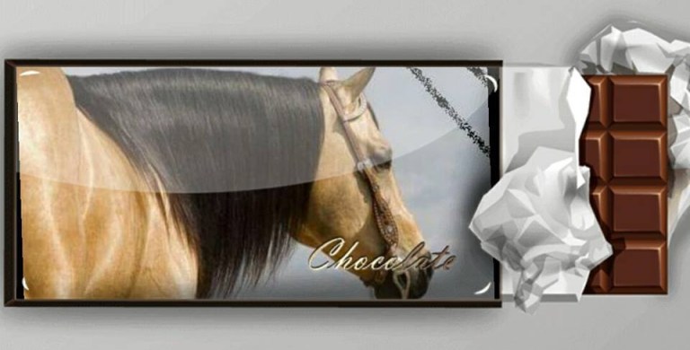 mr-chocolte-performance-quarter-horse-stallion-buckskin-promo.jpg