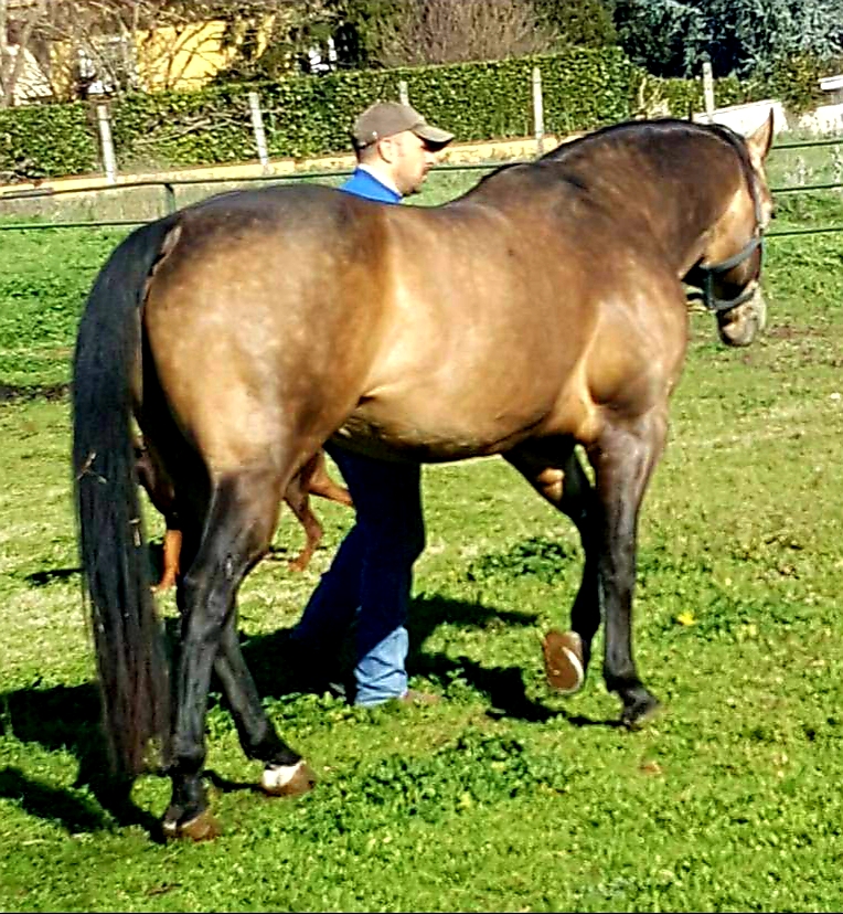 WhatsApp Image 2020-12-18 at 0 9.38.24