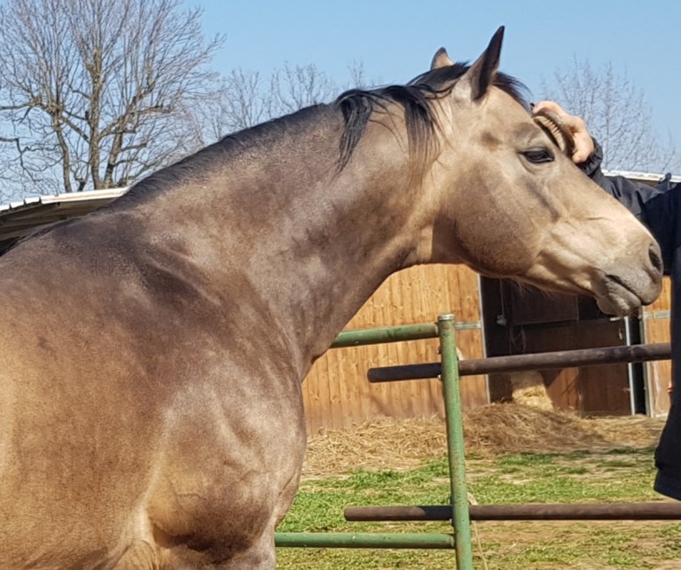 WhatsApp Image 2020-12-18 at 09.38.25