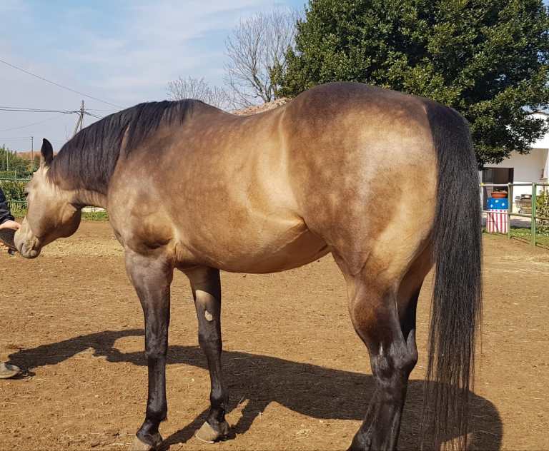 WhatsApp Image 2020-12-18 at 09.38.25