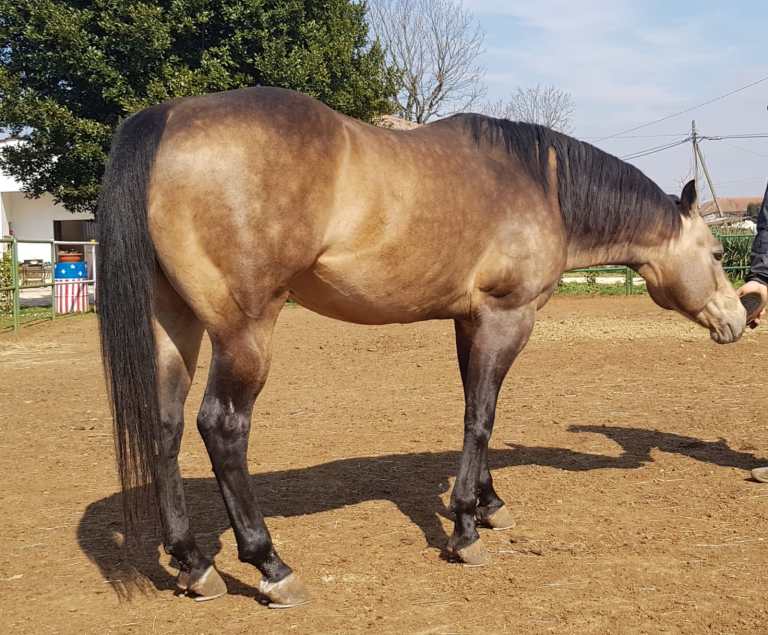 WhatsApp Image 2020- 12-18 at 09.38.25