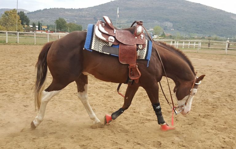 23916396_514401878936743_4609084579787051658_o