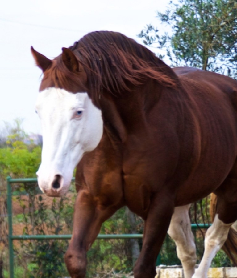 WhatsApp Image 2020-12-18 at 09.28.02