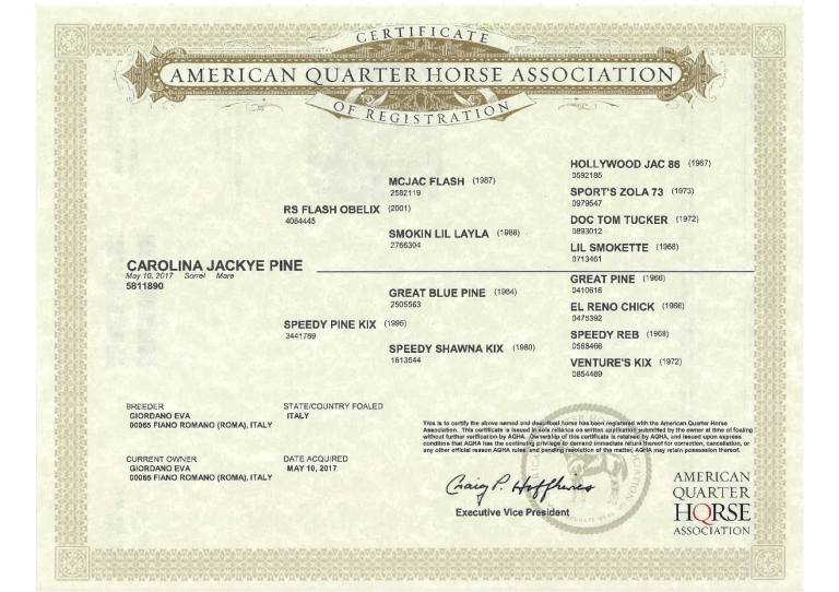 33942669_582579748793440_2234545529897877504_o