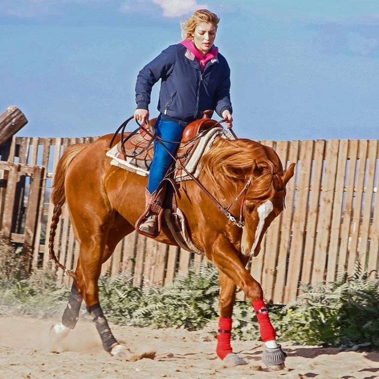 42217550_1878192019154433_2390731113673785344_n