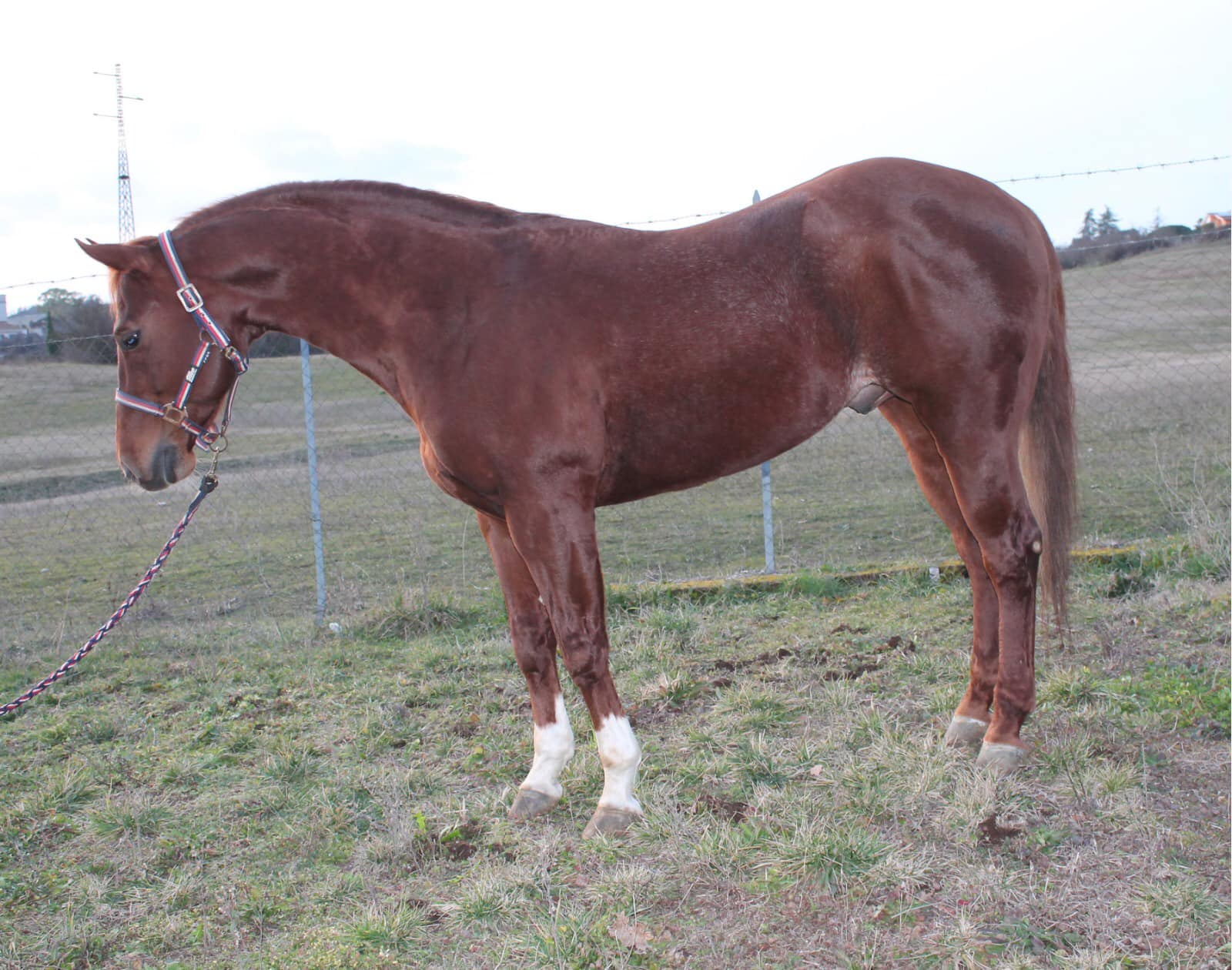 117163966_914917198918406_3236878398699749434_o