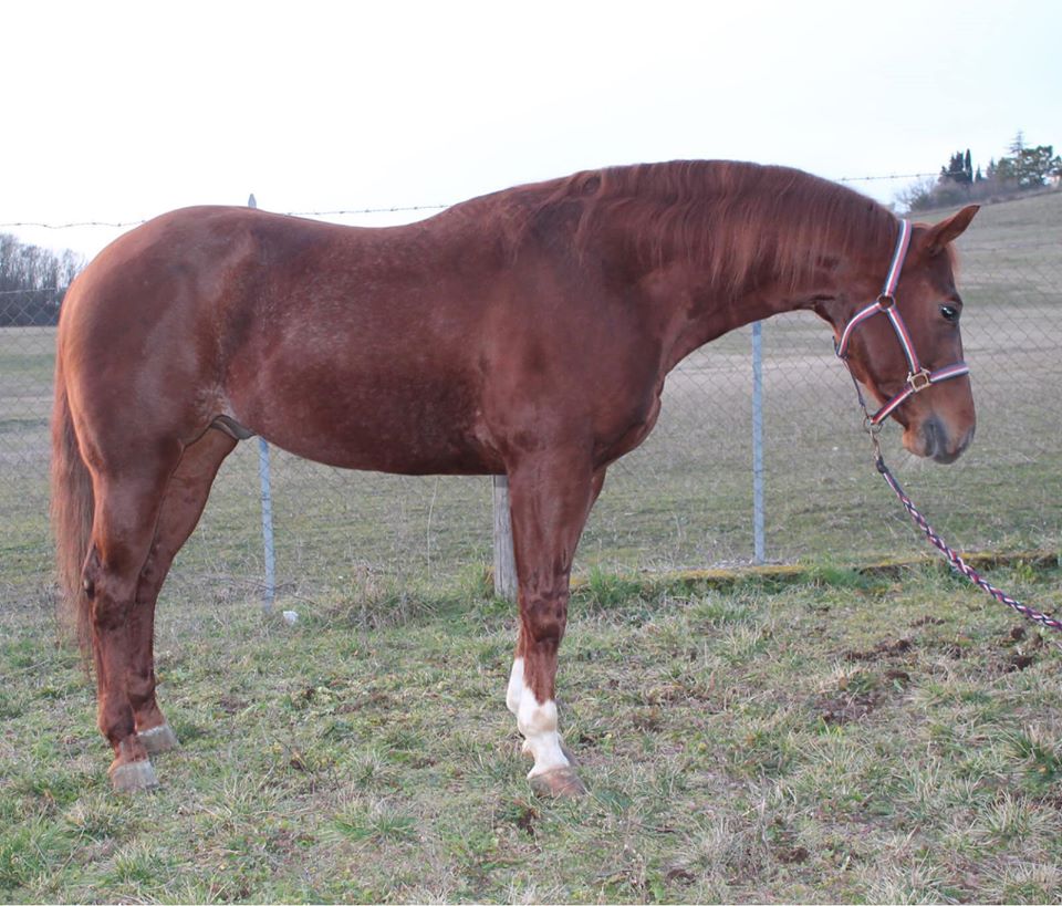 117271810_914917072251752_2959638279731530109_o