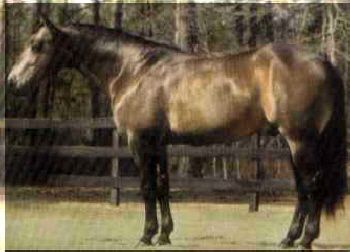 14db73c458c7471e64c8f5393b3a6a38