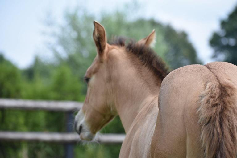 46695192_205324703686823_3335602912108740608_n