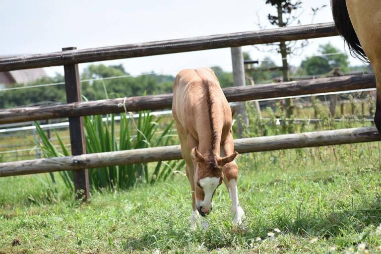 46739309_329866477568926_5370663381659287552_n