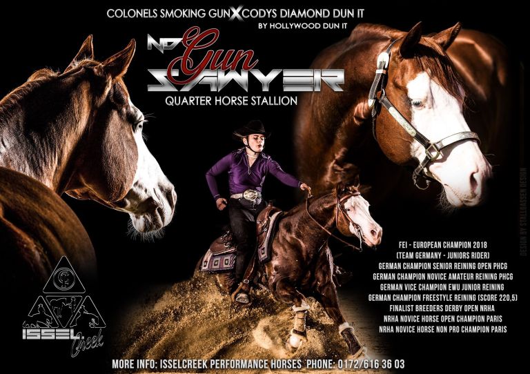 46743274_382399979172338_272559814310100992_n