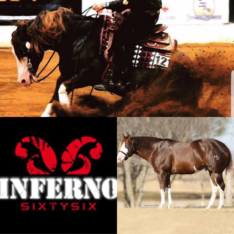 inferno-66-locandina