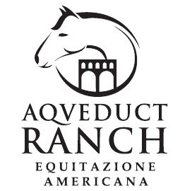 28059250_525548331161788_5689598603840435849_n