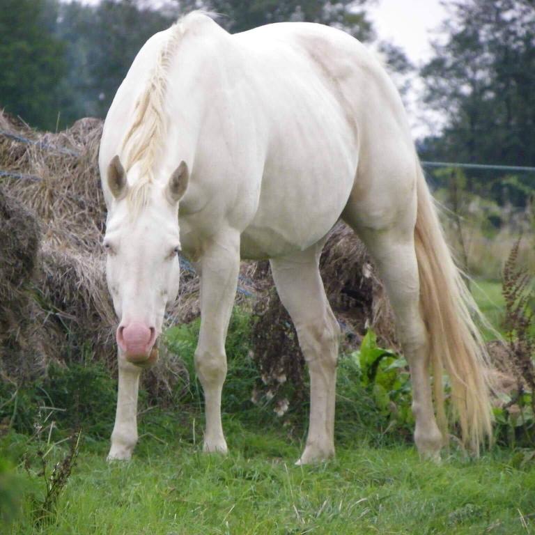 47086749_331535124309451_2611195465764438016_n