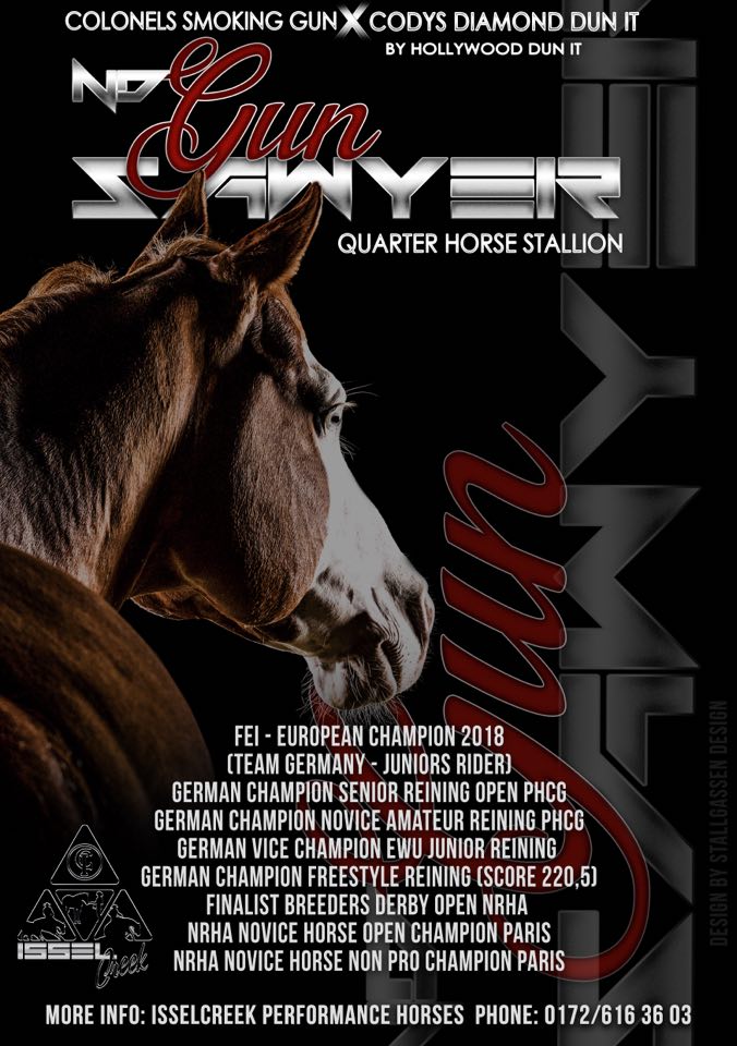 47682029_354453675131268_6879687728653402112_n