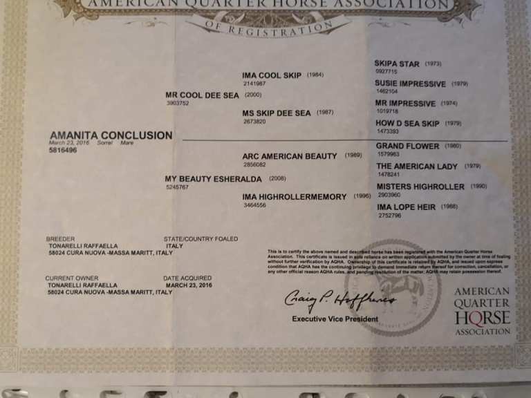 49342230_2082292388498747_6141455821965361152_n