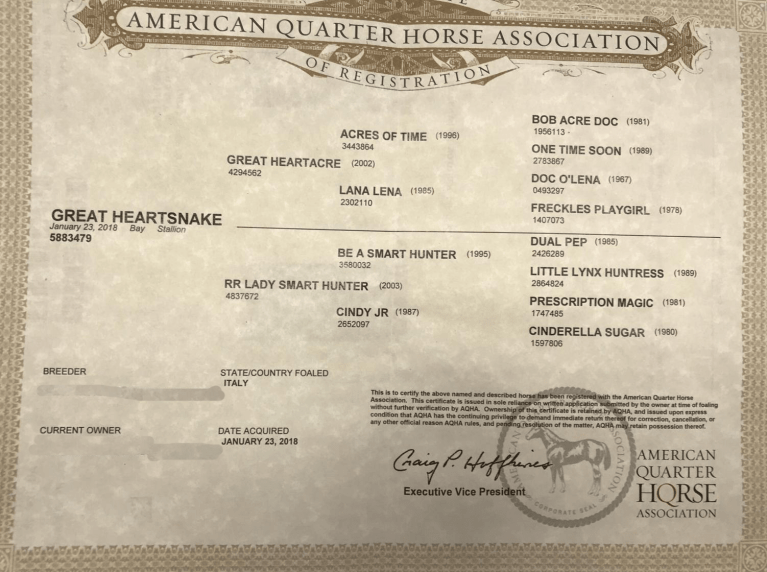 puledro-quarter-horse-•-team-penning-prospect-•-great-heartsnake-2018-certificate.png