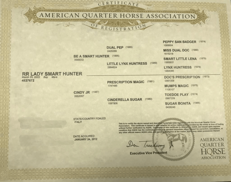Fattrice Quarter Horse Team Penning RR LADY SMART HUNTER certificato